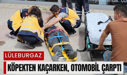 LÜLEBURGAZ; Köpekten Kaçarken, Otomobil Çarptı