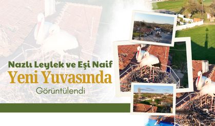 Nazlı Leylek ve Eşi Naif Yeni Yuvasında Görüntülendi