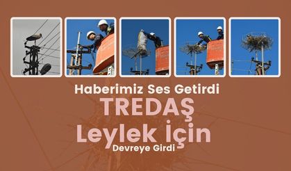 Haberimiz Ses Getirdi, TREDAŞ Leylek İçin Devreye Girdi