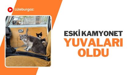 Lüleburgaz: Eski Kamyonet Yuvaları Oldu