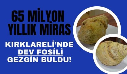 65 Milyon Yıllık Miras: Kırklareli’nde Dev Fosili Gezgin Buldu!