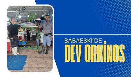 Babaeski’de Dev Orkinos