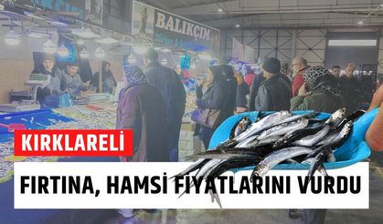 Kırklareli; Fırtına Hamsi Fiyatlarını Vurdu