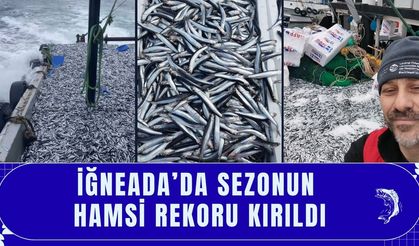 İğneada’da Sezonun Hamsi Rekoru Kırıldı
