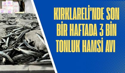 Kırklareli’nde Son Bir Haftada 3 Bin Tonluk Hamsi Avı
