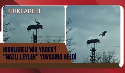 Kırklareli'nin Yaren'i "Nazlı Leylek" Yuvasına Geldi