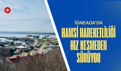 İğneada’da Hamsi Hareketliliği Hız Kesmeden Sürüyor