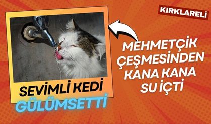 SEVİMLİ KEDİ GÜLÜMSETTİ; Mehmetçik Çeşmesinden Kana Kana Su İçti