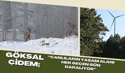 Çidem; “Canlıların Yaşam Alanı Her Geçen Gün Daralıyor”