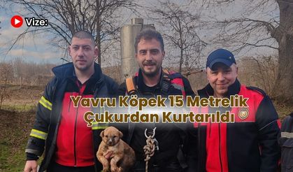 Vize’de Yavru Köpek 15 Metrelik Çukurdan Kurtarıldı