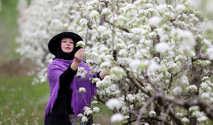 Kırklareli'nde Meyve Ağaçları Çiçek Açtı