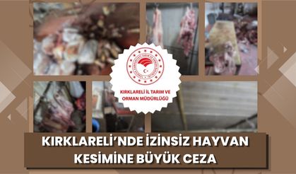 Kırklareli’nde İzinsiz Hayvan Kesimine Büyük Ceza
