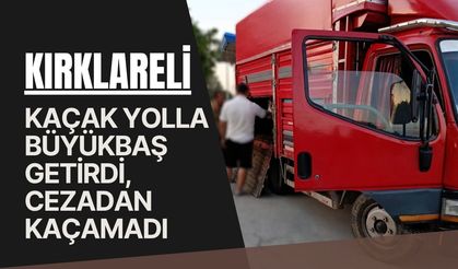 Kırklareli: Kaçak Yolla Büyükbaş Getirdi, Cezadan Kaçamadı