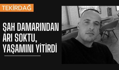 Şah Damarından Arı Soktu, Yaşamını Yitirdi
