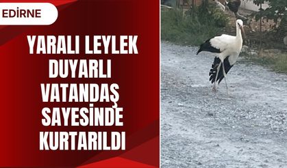 Yaralı Leylek Duyarlı Vatandaş Sayesinde Kurtarıldı