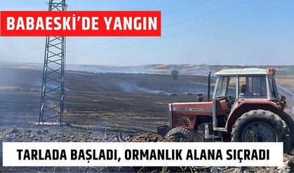 BABAESKİ’DE YANGIN; Tarlada Başladı, Ormanlık Alana Sıçradı