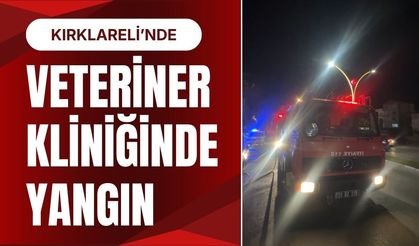 Kırklareli’nde Veteriner Kliniğinde Yangın