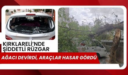 Kırklareli’nde Şiddetli Rüzgar Ağacı Devirdi, Araçlar Hasar Gördü