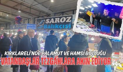 Kırklareli'nde Palamut ve Hamsi Bolluğu! Vatandaşlar Tezgahlara Akın Ediyor