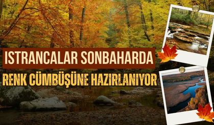 Istrancalar Sonbaharda Renk Cümbüşüne Hazırlanıyor