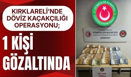 KIRKLARELİ’NDE DÖVİZ KAÇAKÇILIĞI OPERASYONU; 1 Kişi Gözaltında