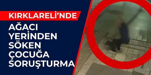 Kırklareli'nde Ağacı Yerinden Söken Çocuğa Soruşturma