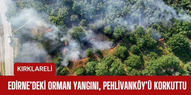 Edirne’deki Orman Yangını, Pehlivanköy’ü Korkuttu
