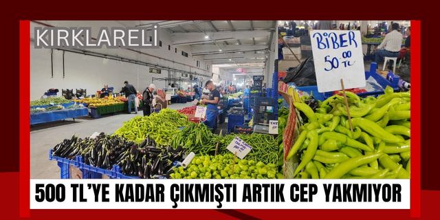 Kırklareli; 500 TL’ye Kadar Çıkmıştı Artık Cep Yakmıyor