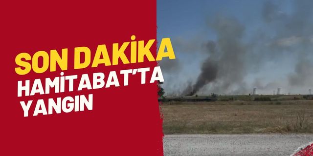 SON DAKİKA; Hamitabat’ta Yangın