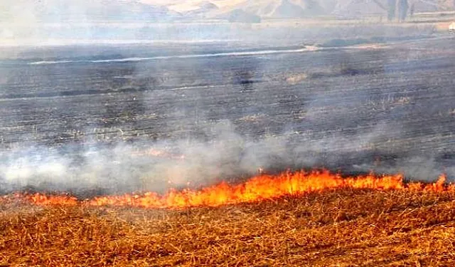 Anız Yangınları Tarım Arazilerinde Ciddi Zararlara Açıyor 