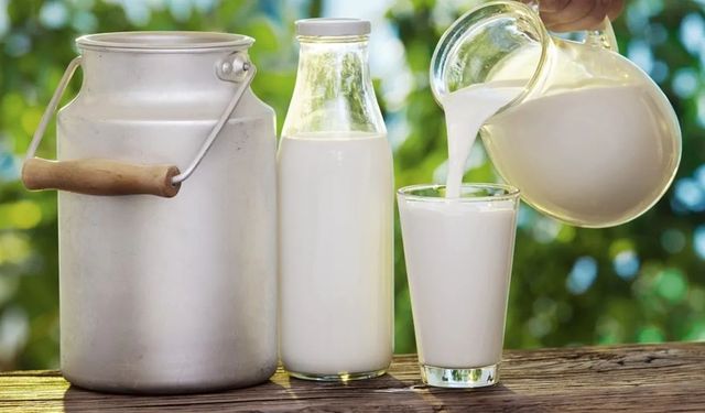 Önceki Ay 835 Bin 773 Ton İnek Sütü Toplandı