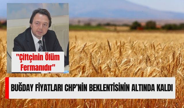 Buğday Fiyatları CHP’nin Beklentisinin Altında Kaldı