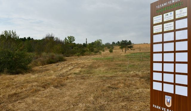 Lüleburgaz’da Yaşam Yeniden Yeşeriyor