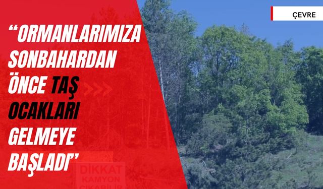 “Ormanlarımıza Sonbahardan Önce Taş Ocakları Gelmeye Başladı”