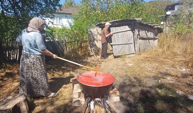 Evde Sağlıklı Salça Yapmak İçin Bu Kurallara Uyun!