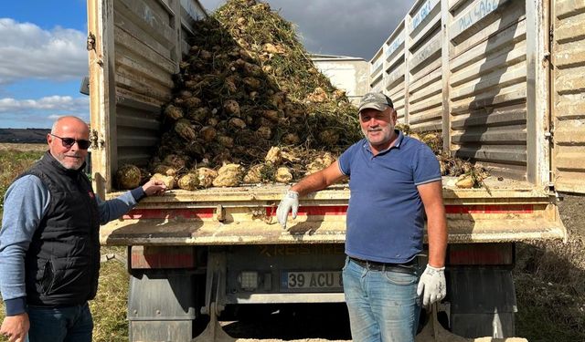 Kırklareli’nde Şeker Pancarı Zamanı