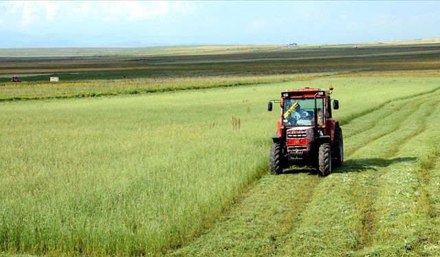 Tarımsal Girdi Fiyat Endeksi Yine Arttı