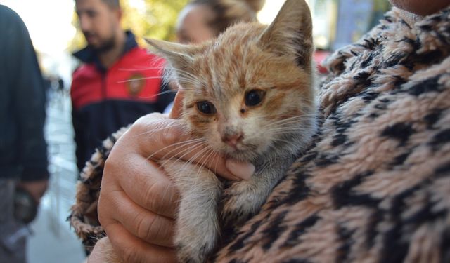 Mazgaldan Düştü, Kurtarılmayı Bekledi