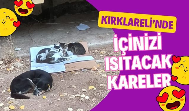 Kırklareli’nde İçinizi Isıtacak Kareler