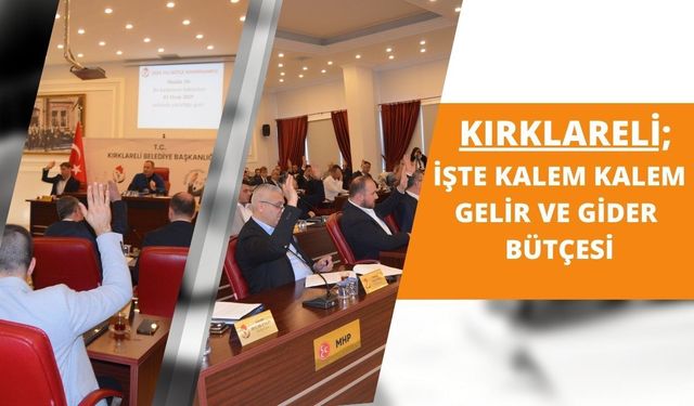 Kırklareli; İşte Kalem Kalem Gelir ve Gider Bütçesi