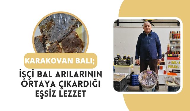 Karakovan Balı; İşçi Bal Arılarının Ortaya Çıkardığı Eşsiz Lezzet