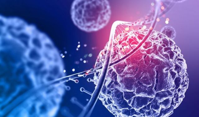 DNA’mıza da Hasar Veriyor