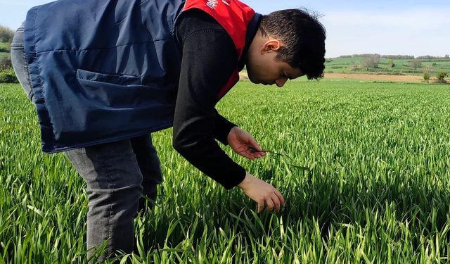 Kırklareli: Ekipler Titizlikle İnceledi
