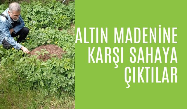 Altın Madenine Karşı Sahaya Çıktılar