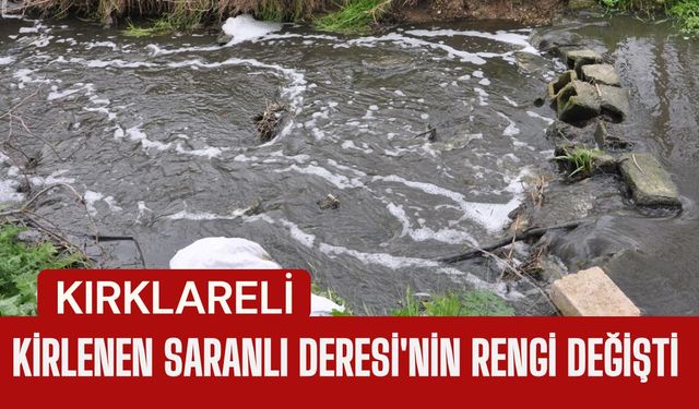 KIRKLARELİ; Kirlenen Saranlı Deresi'nin Rengi Değişti