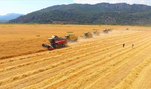 Tarımsal Girdi Fiyat Endeksi Yine Arttı
