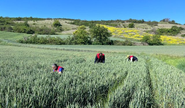 Lüleburgaz’da Çalışmalar Hız Kesmiyor