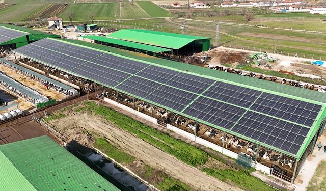 Süt İşletmesinin Çatısına Kurdukları Panellerle Elektriği Güneşten Sağlıyorlar
