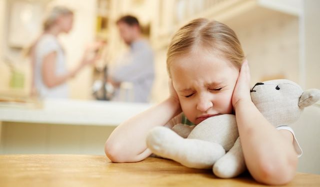 ‘Görünürde Normal Aile’ Gizli Kalmış Bir Çocukluk Çağı Travmasıdır!