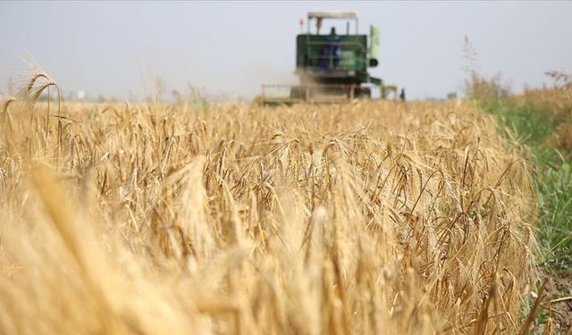Tarımsal Girdi Fiyat Endeksi Arttı